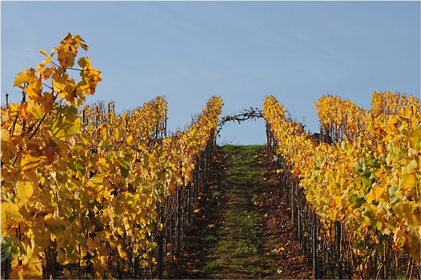 Abschied vom Oktober