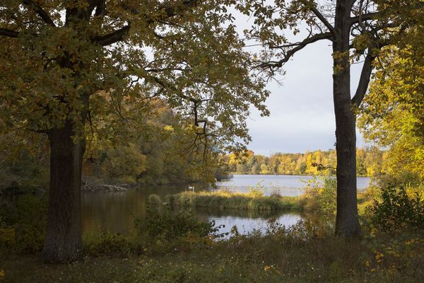 Abschied vom Oktober ...