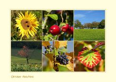 Abschied vom Oktober...