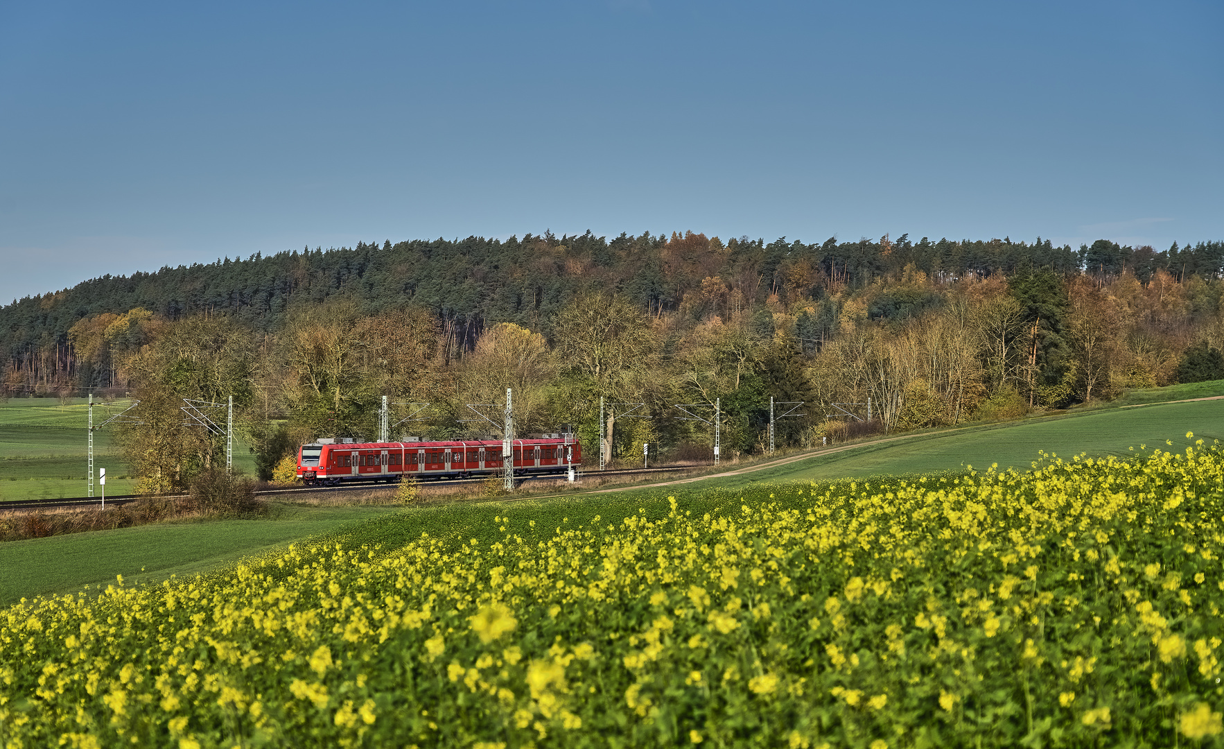 Abschied vom Quietschie