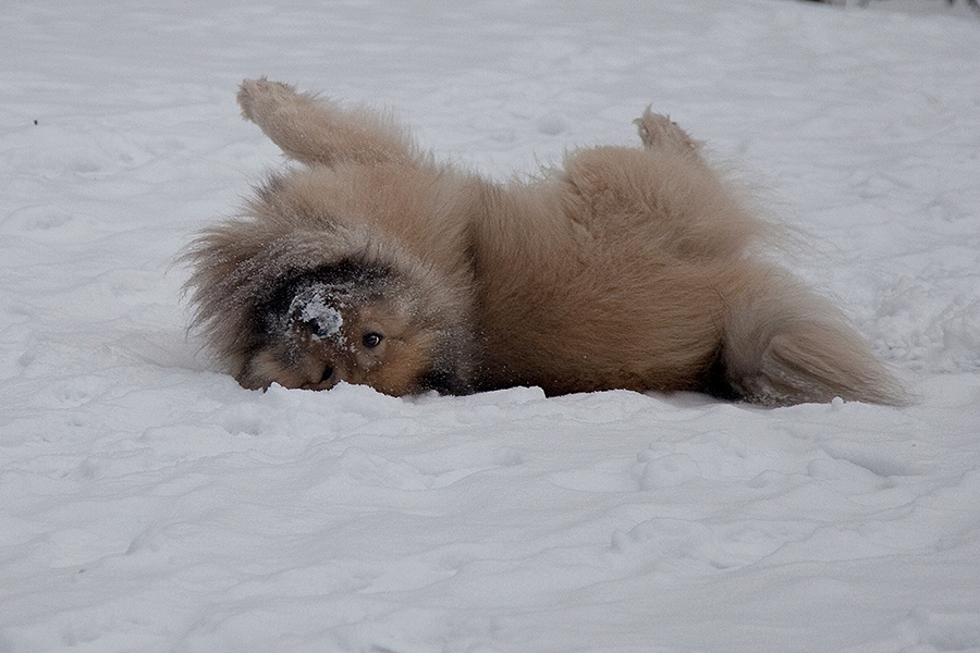 Abschied vom Schnee