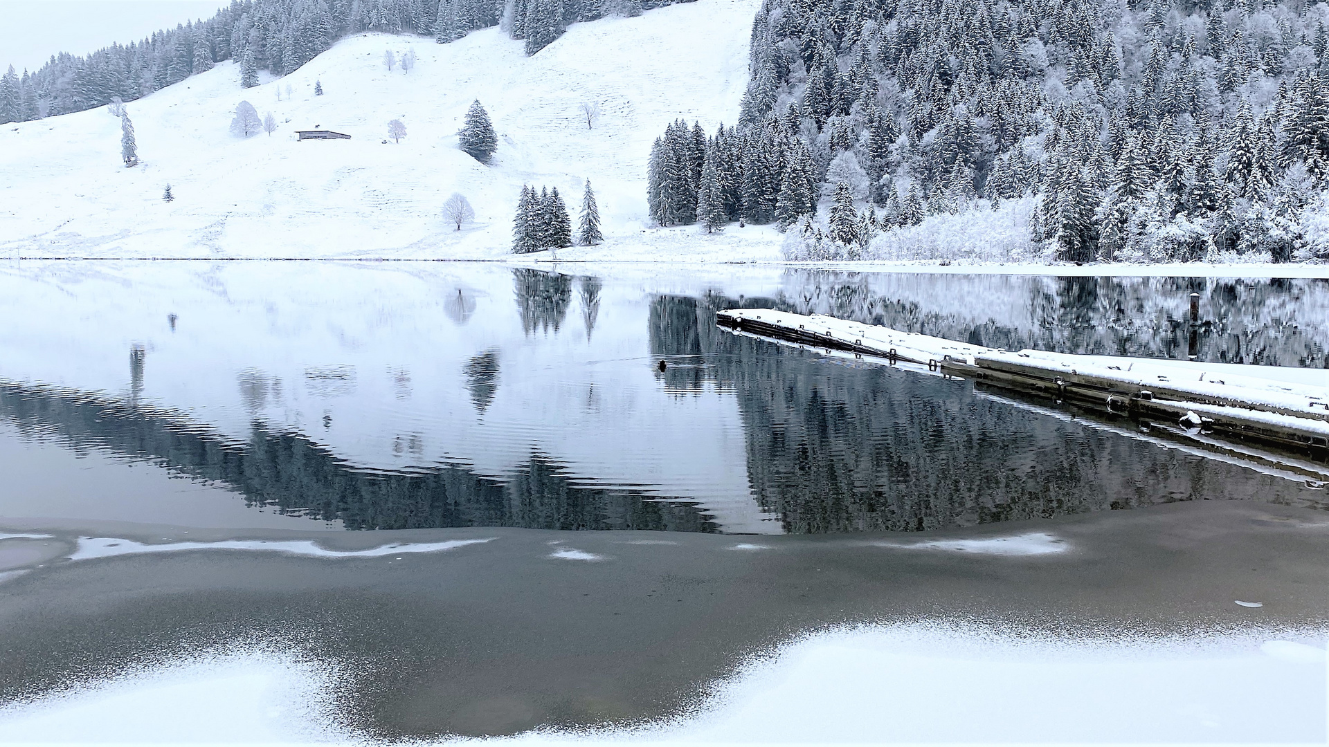 Abschied vom Schwarzsee