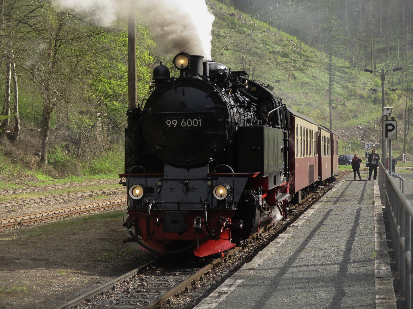 Abschied vom Selketaldampfzug in Eisfelder Talmühle.