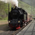 Abschied vom Selketaldampfzug in Eisfelder Talmühle.