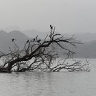 Abschied vom Skadarsee