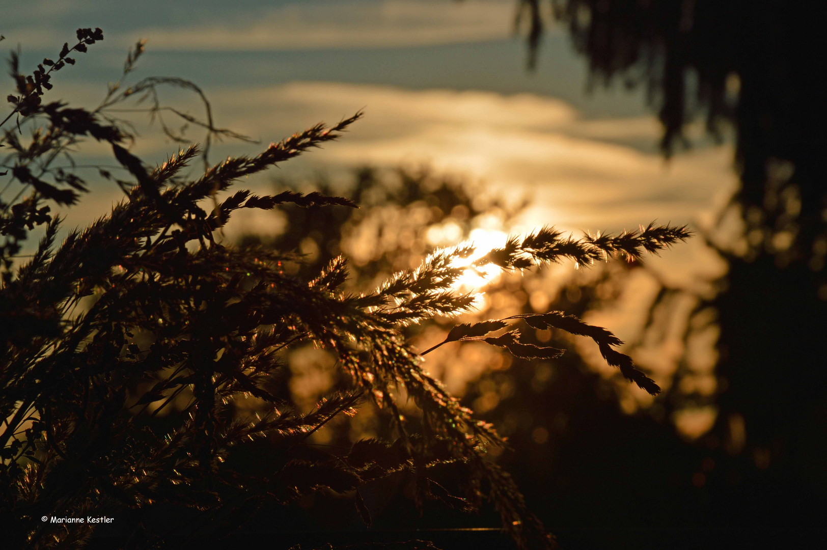 Abschied vom Sommer - 1 -