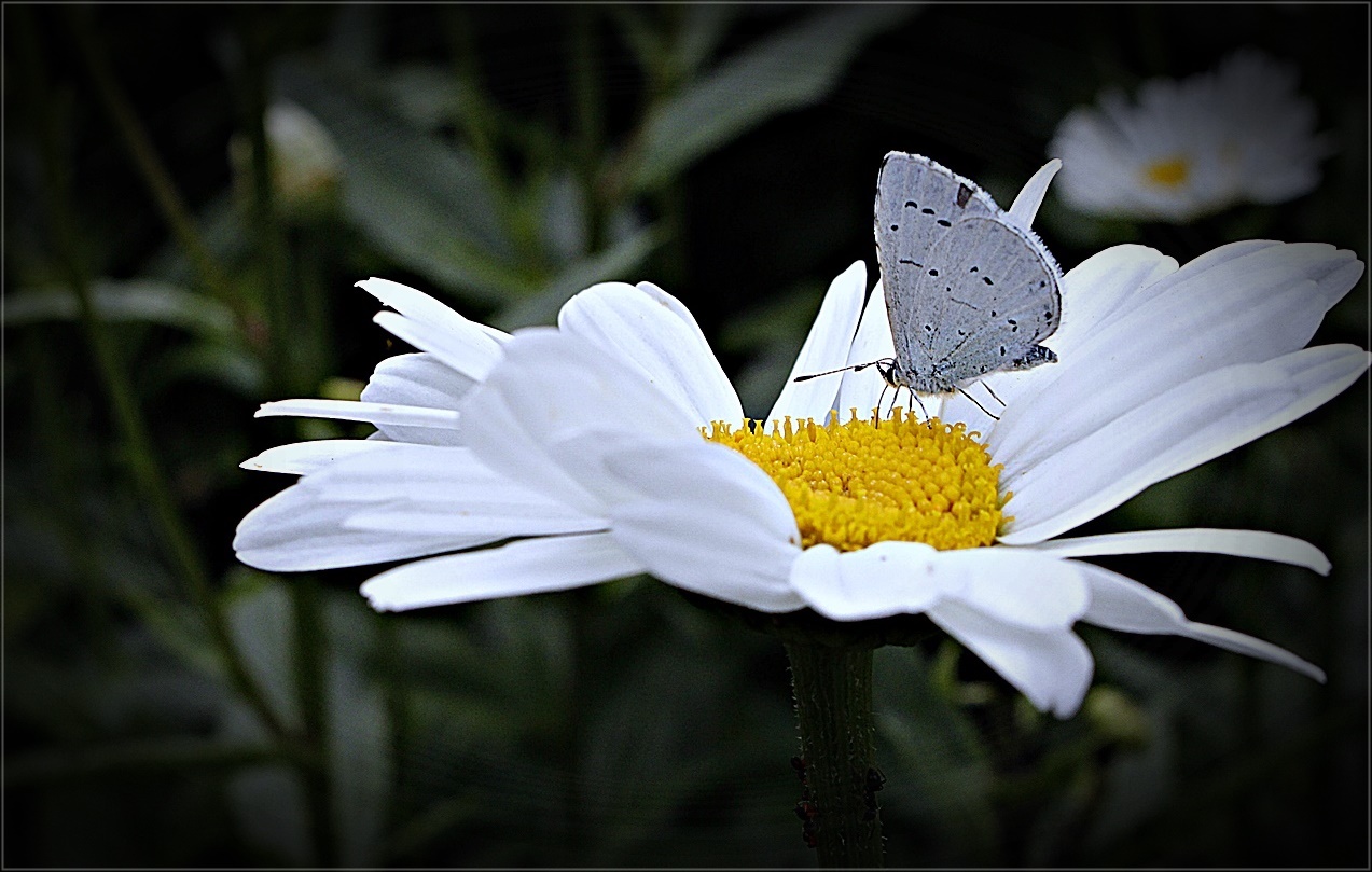 " Abschied vom Sommer 2020 "