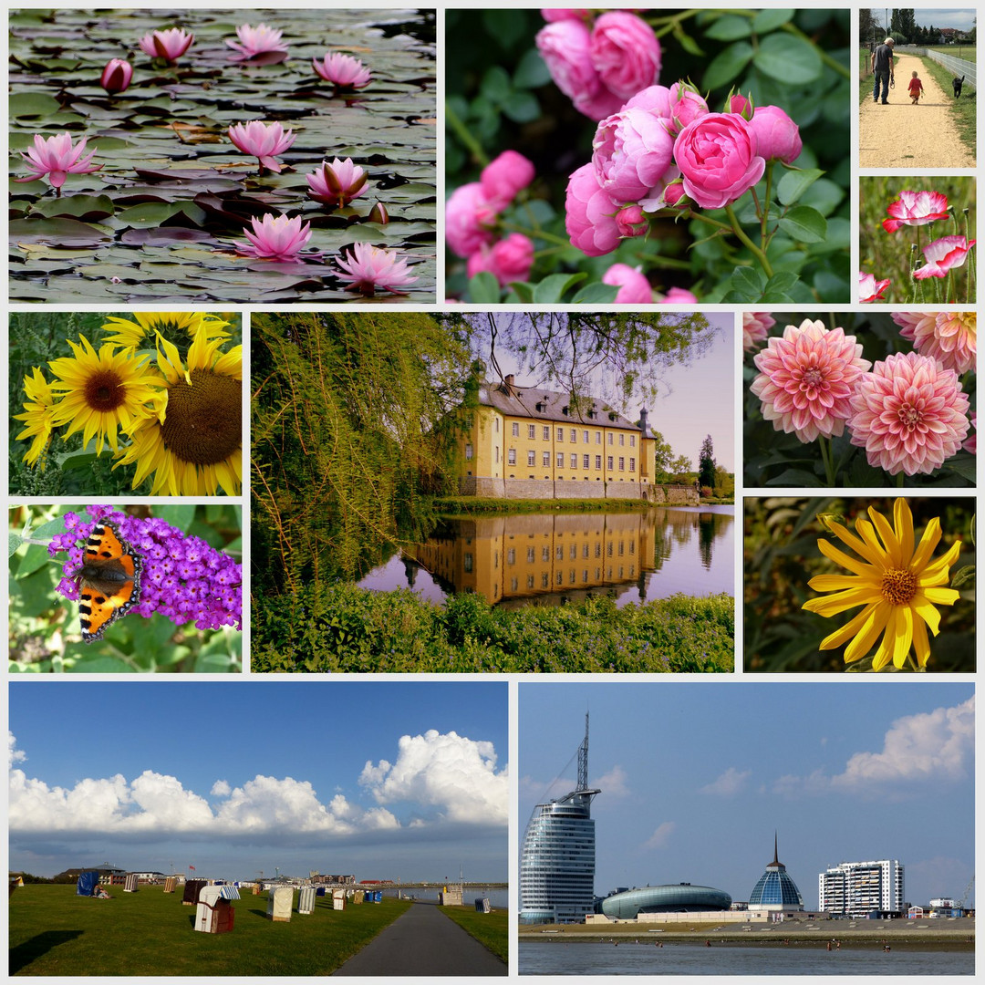 Abschied vom Sommer 2020 Foto & Bild urlaub, spezial, sommer Bilder
