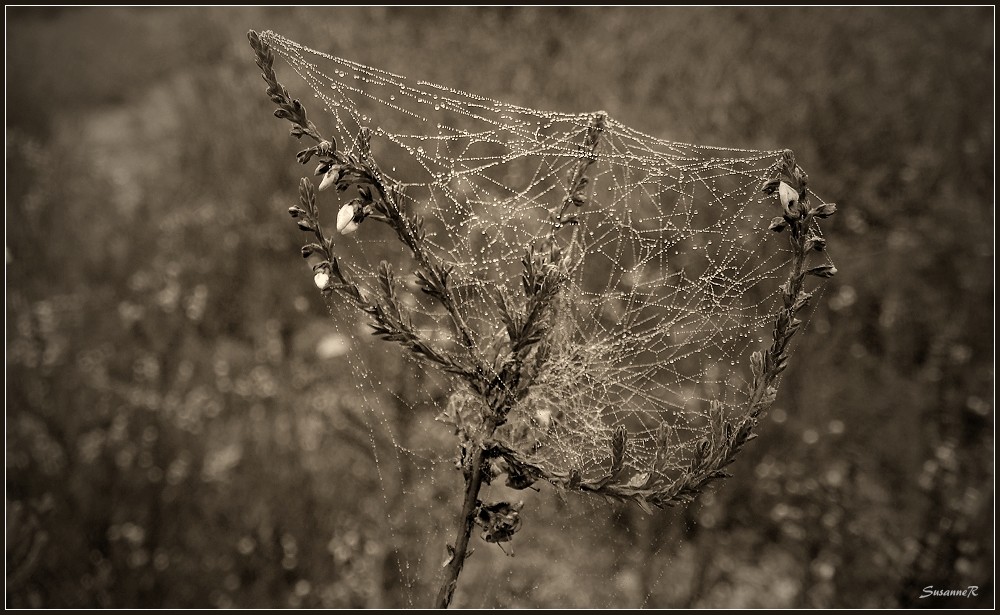 Abschied vom Sommer