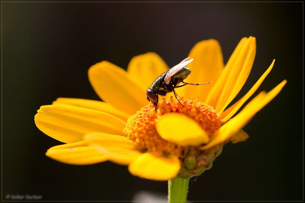 Abschied vom Sommer