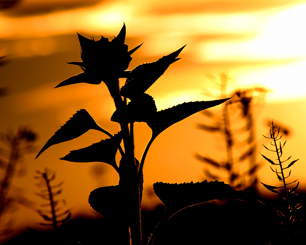 Abschied vom Sommer