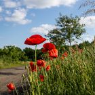 Abschied vom Sommer