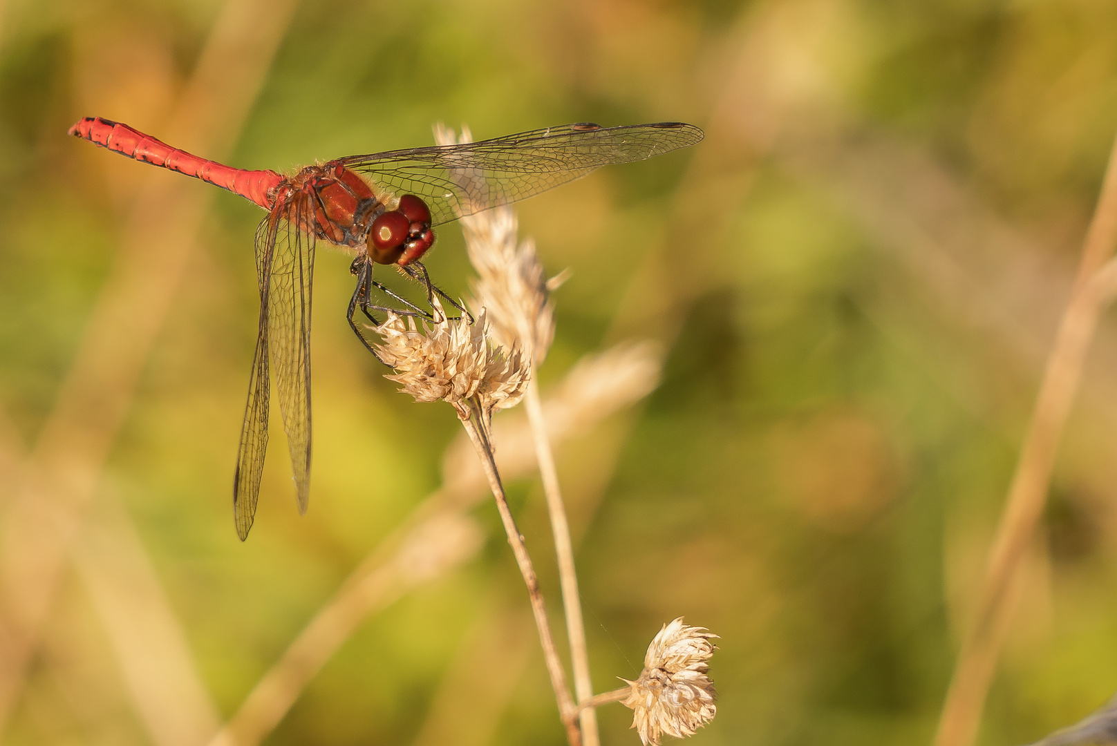 Abschied vom Sommer