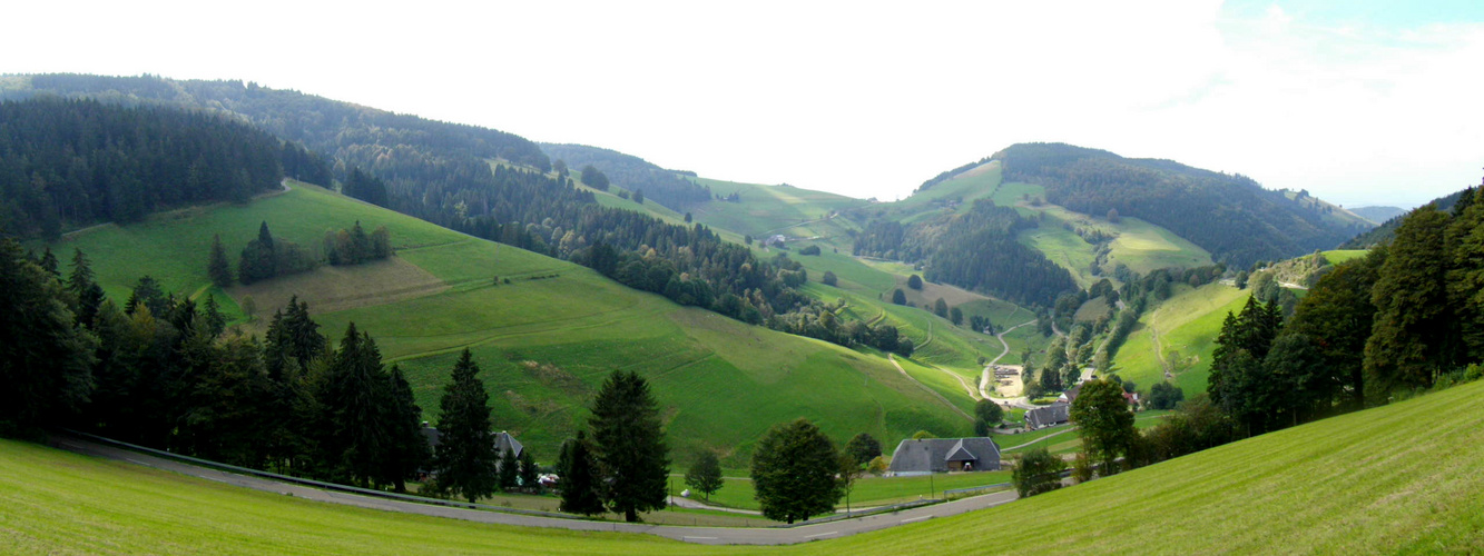 Abschied vom Sommer (500m westlich des Wiedener Ecks)