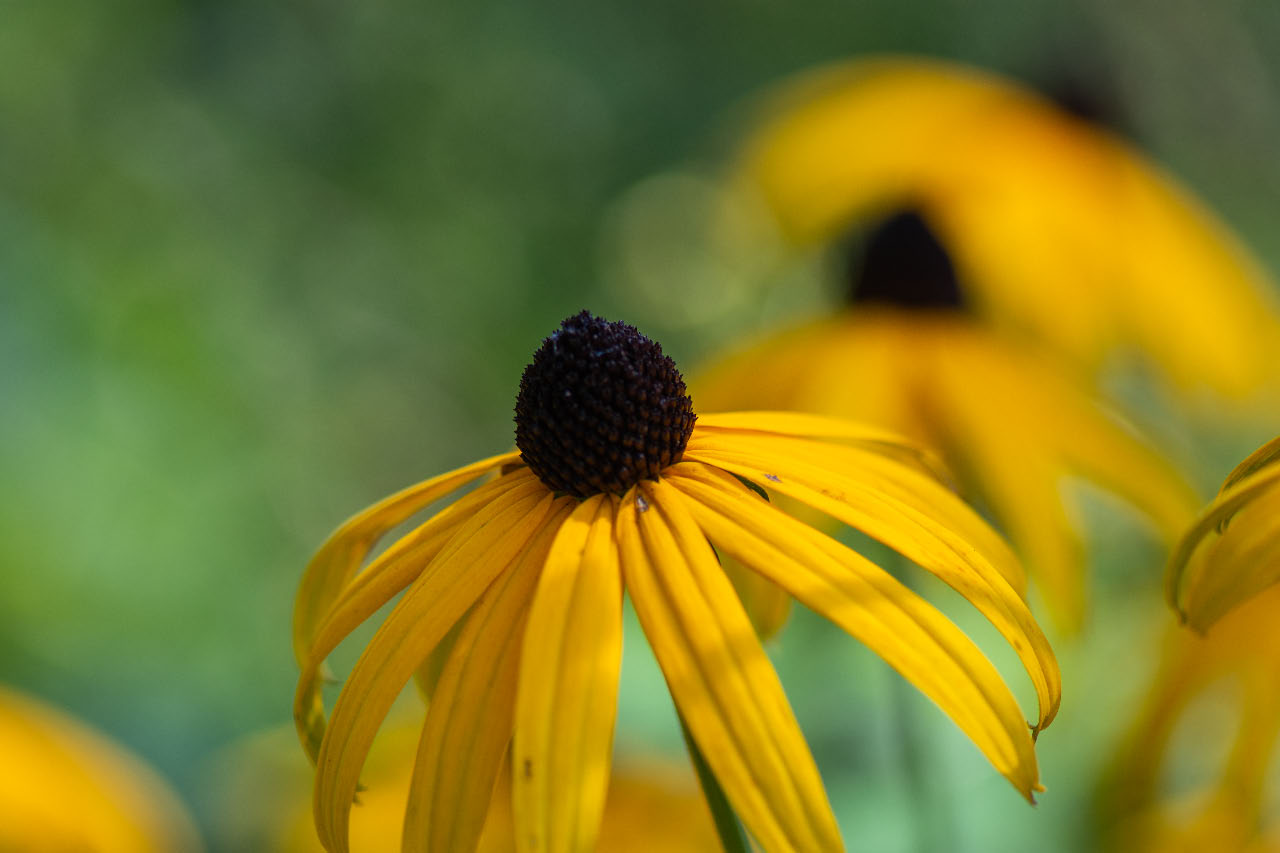 Abschied vom Sommer