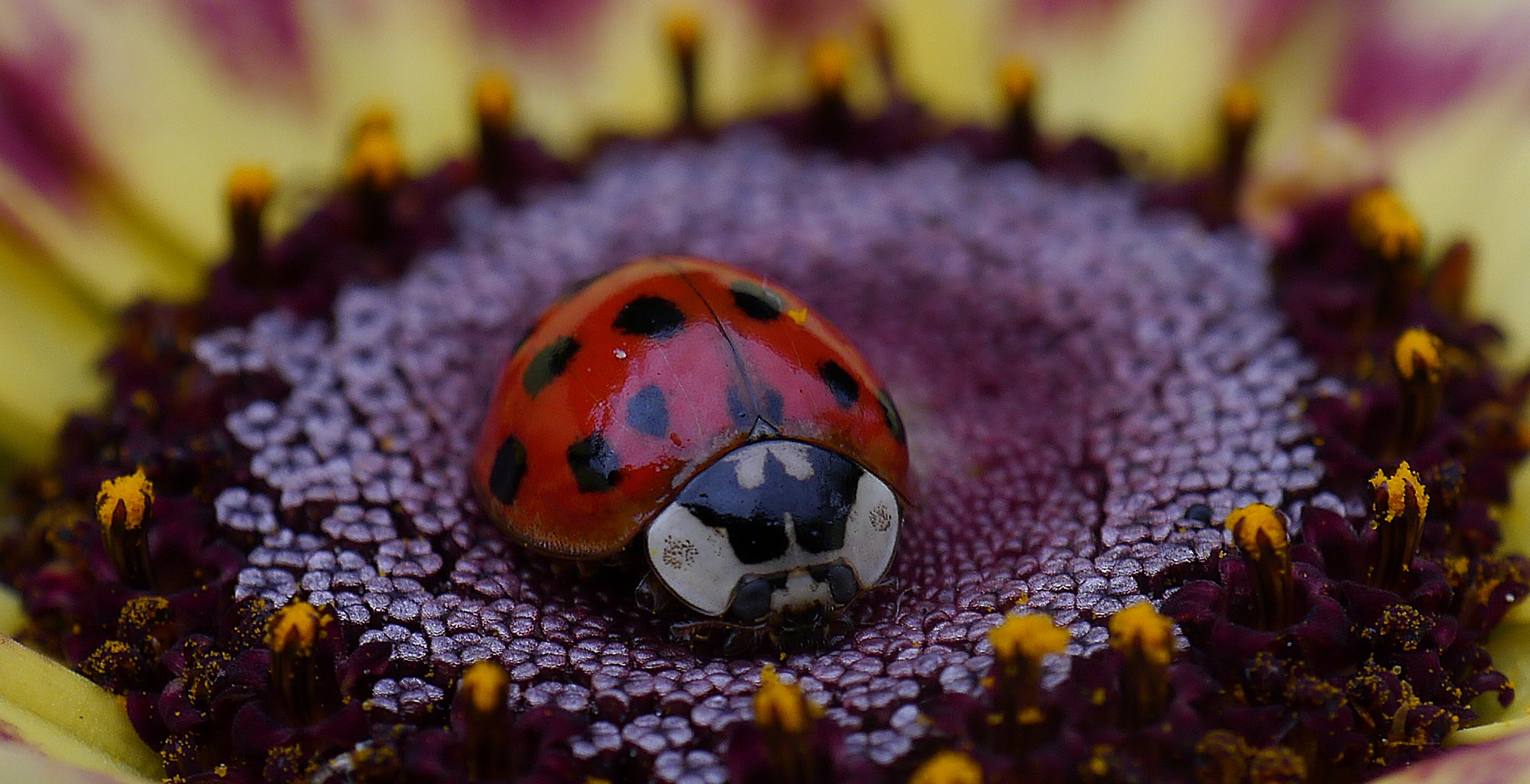 Abschied vom Sommer?