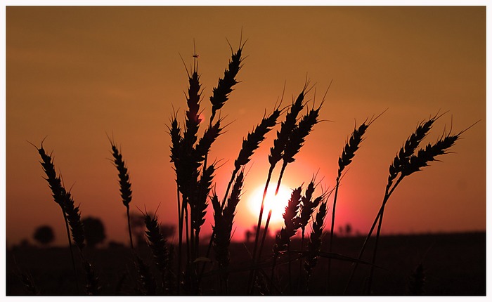 Abschied vom Sommer