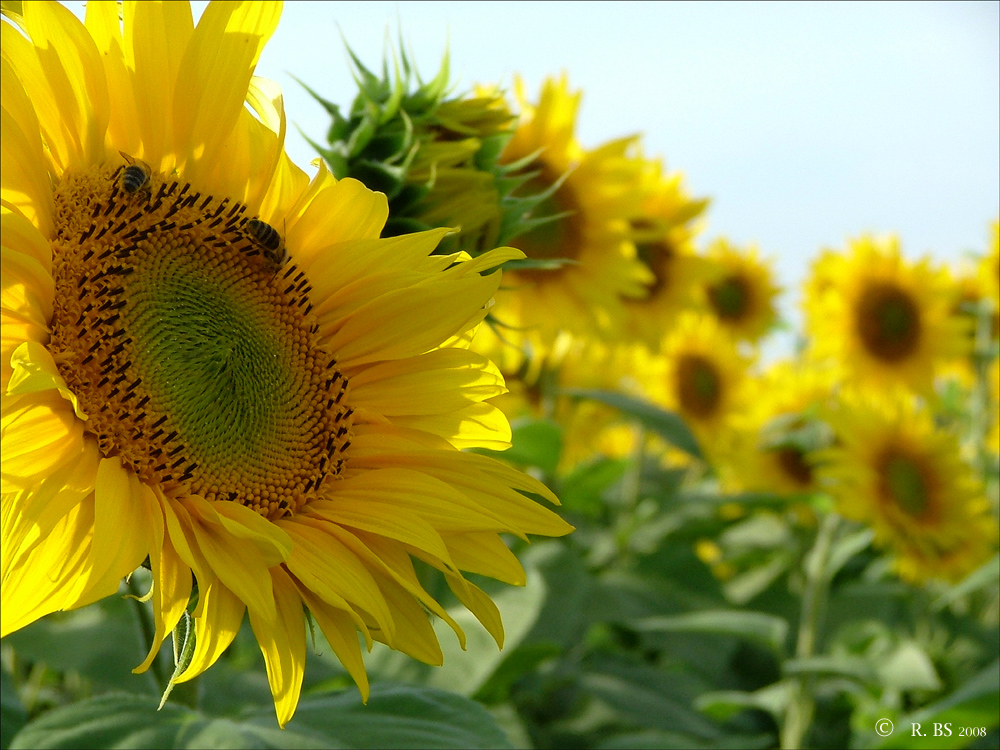 Abschied vom Sommer