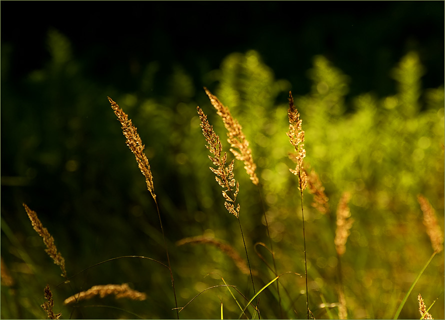 Abschied vom Sommer