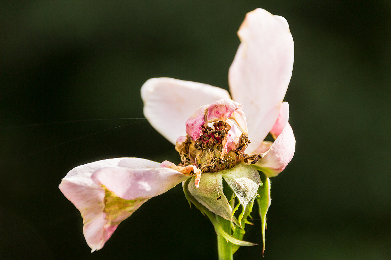 Abschied vom Sommer