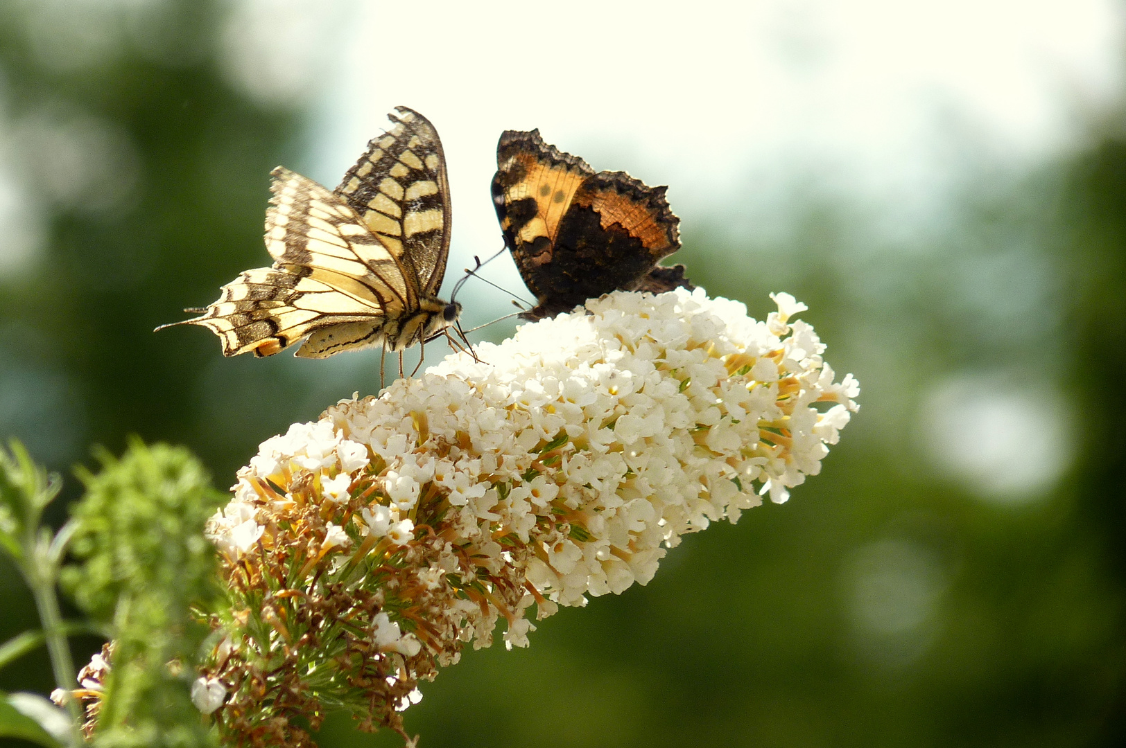 Abschied vom Sommer