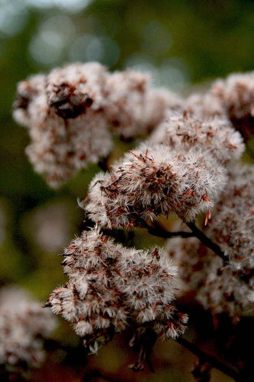 ... Abschied vom Sommer