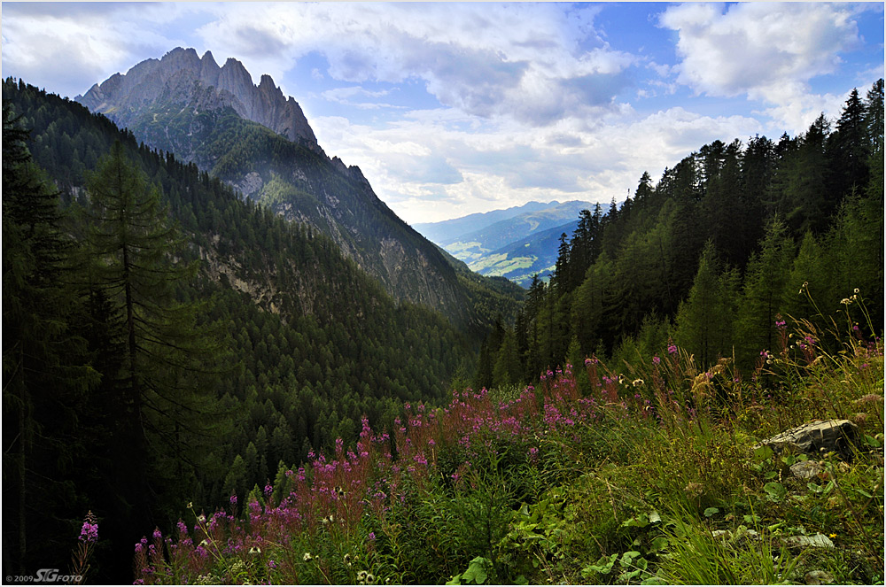 Abschied vom Sommer