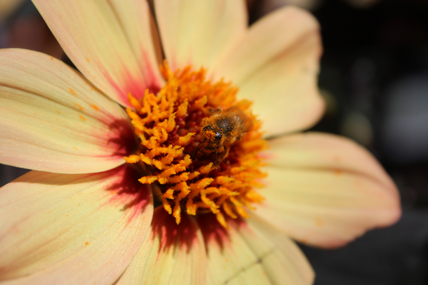 Abschied vom Sommer