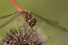 Abschied vom Sommer