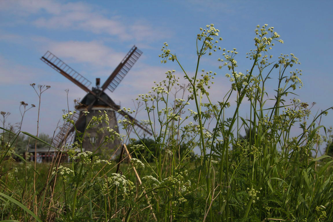 Abschied vom Sommer