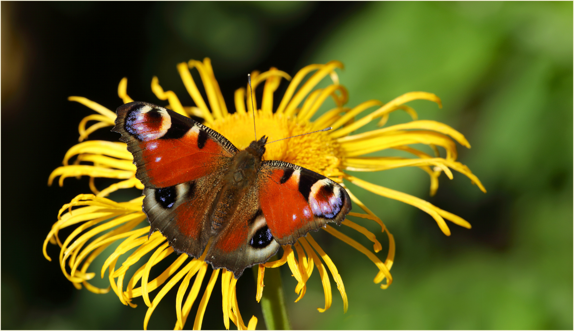 Abschied vom Sommer