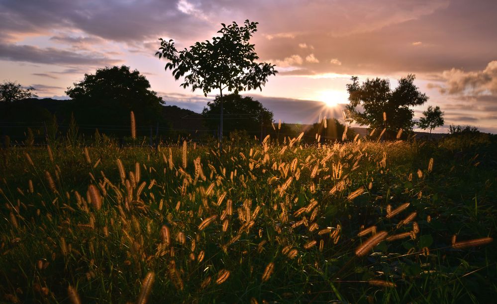 Abschied vom Sommer Foto & Bild landschaft, jahreszeiten