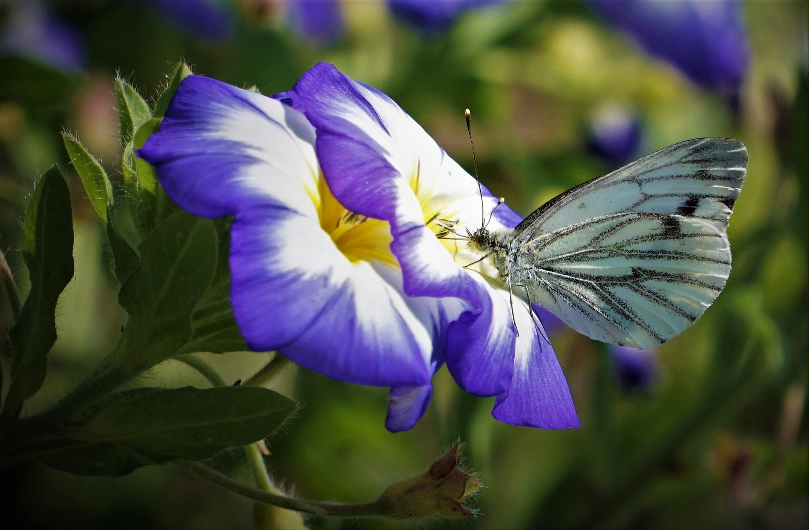 Abschied vom Sommer