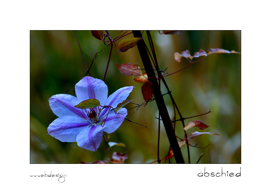 ABSCHIED vom Sommer