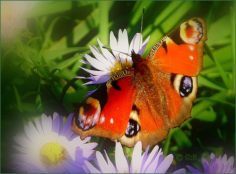 Abschied vom Sommer