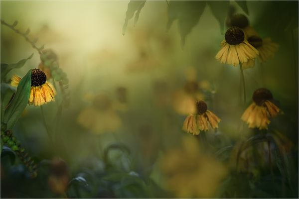 Abschied vom Sommer …