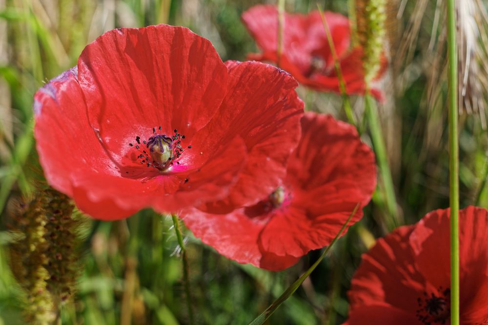 Abschied vom Sommer