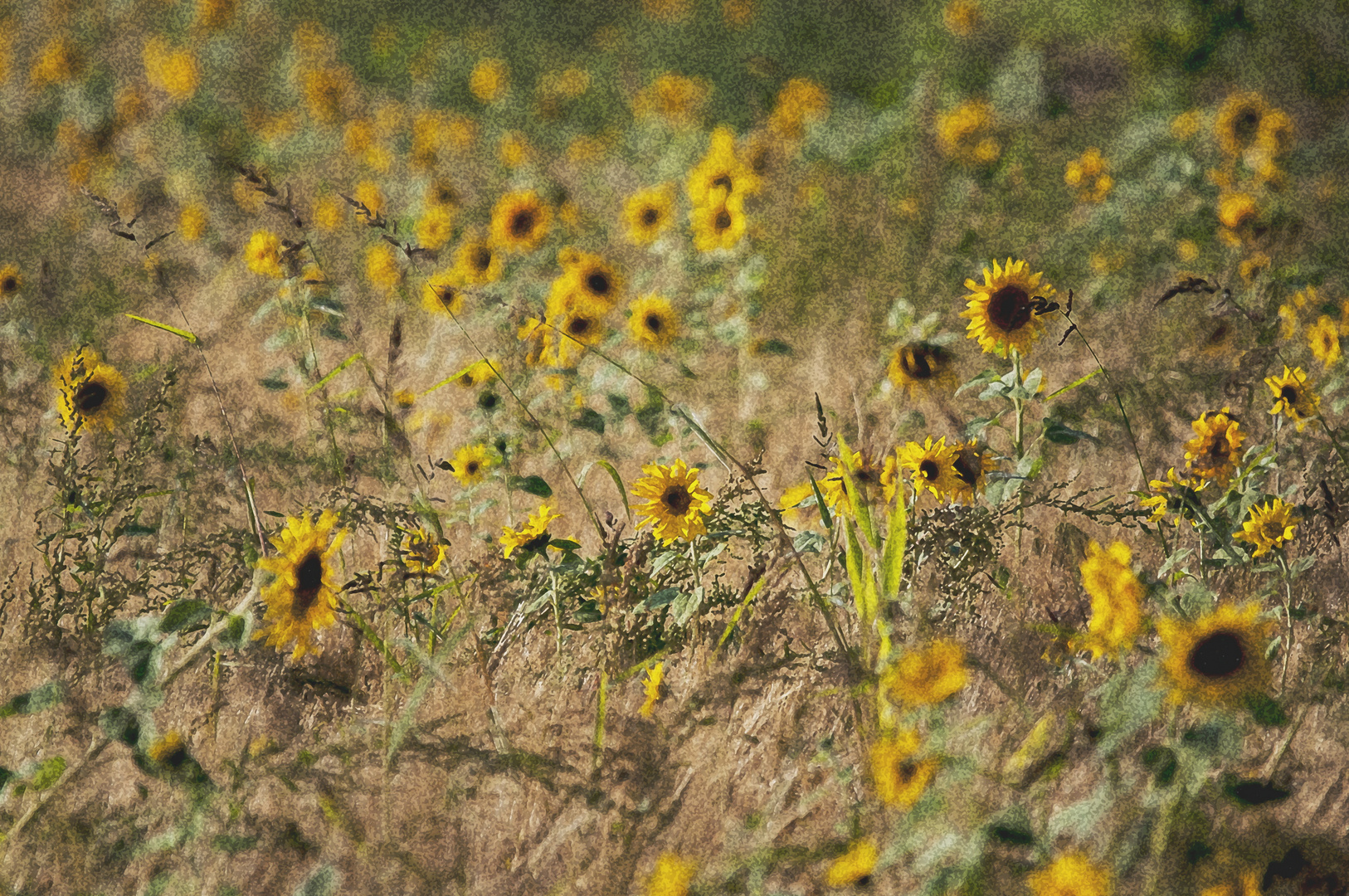 Abschied vom Sommer