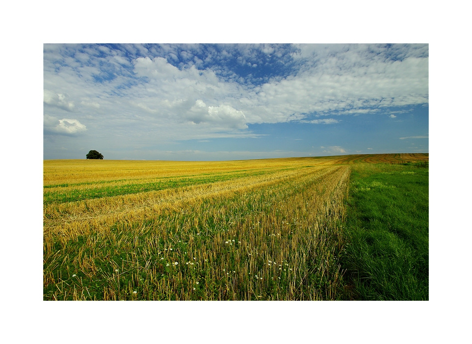 Abschied vom Sommer