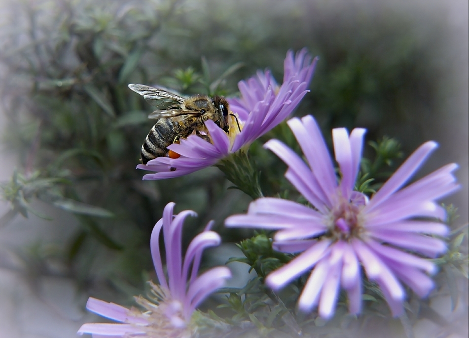 Abschied vom Sommer