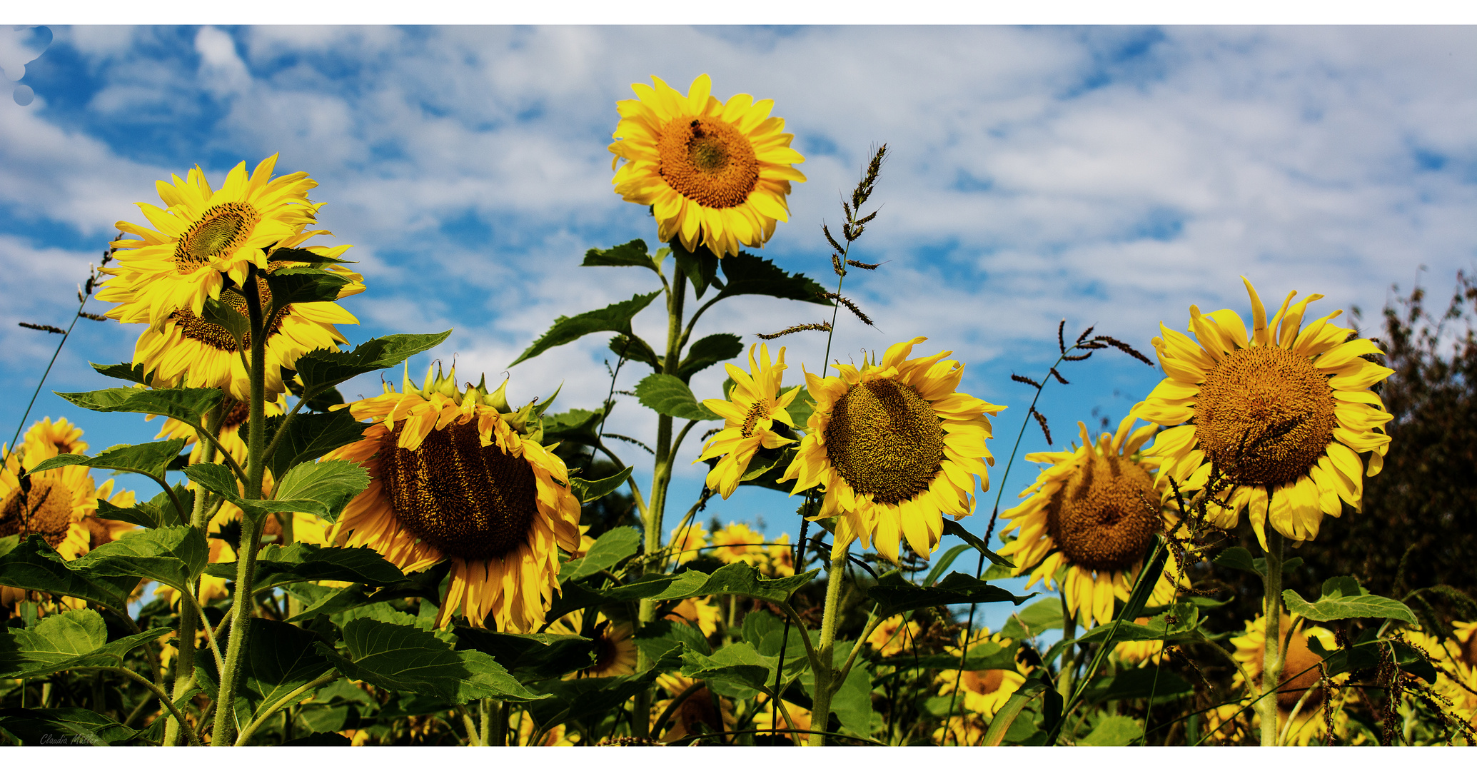 Abschied vom Sommer