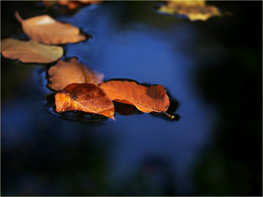 Abschied vom Sommerlicht