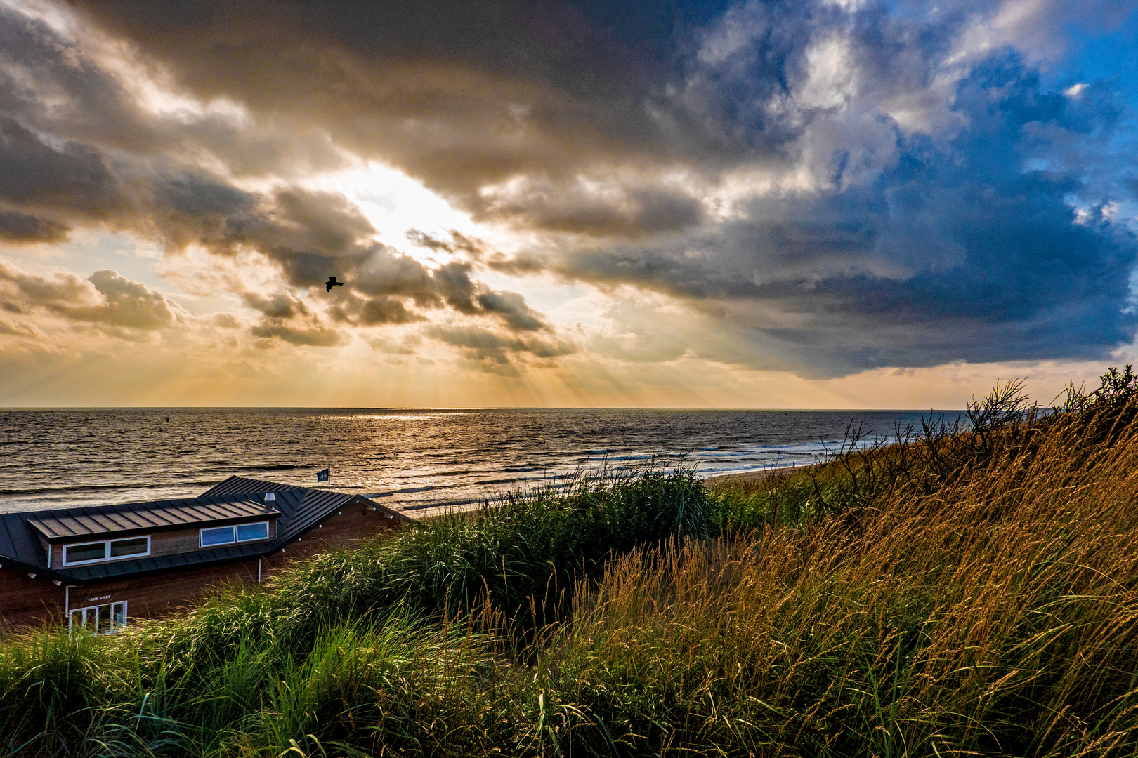 Abschied vom Strand