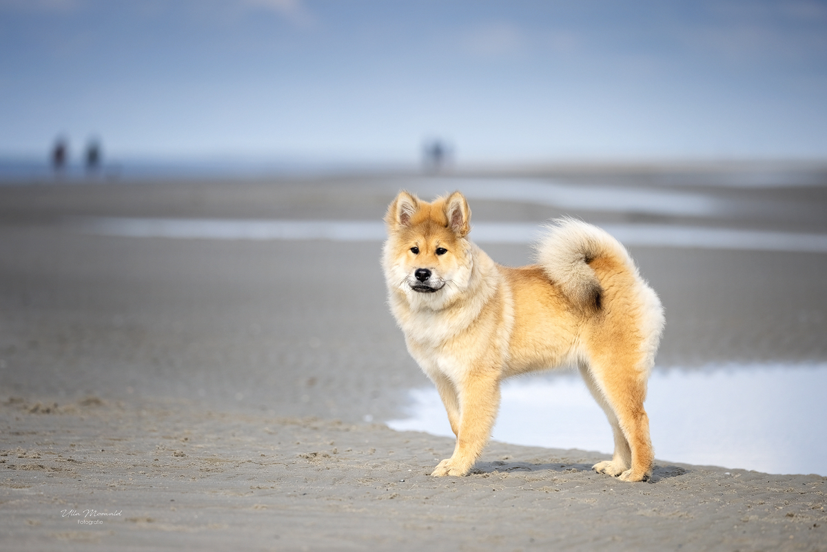 ...Abschied vom Strand...