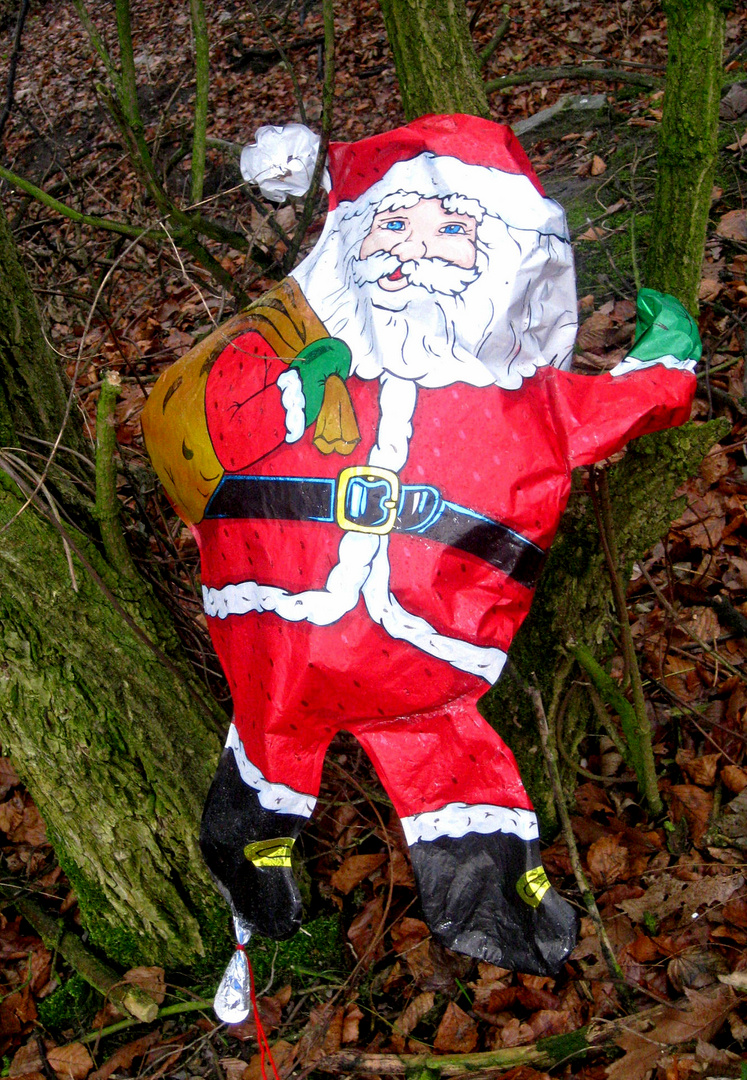 Abschied vom Weihnachtsmann. Foto &amp; Bild | quatsch, fun und rätselecke