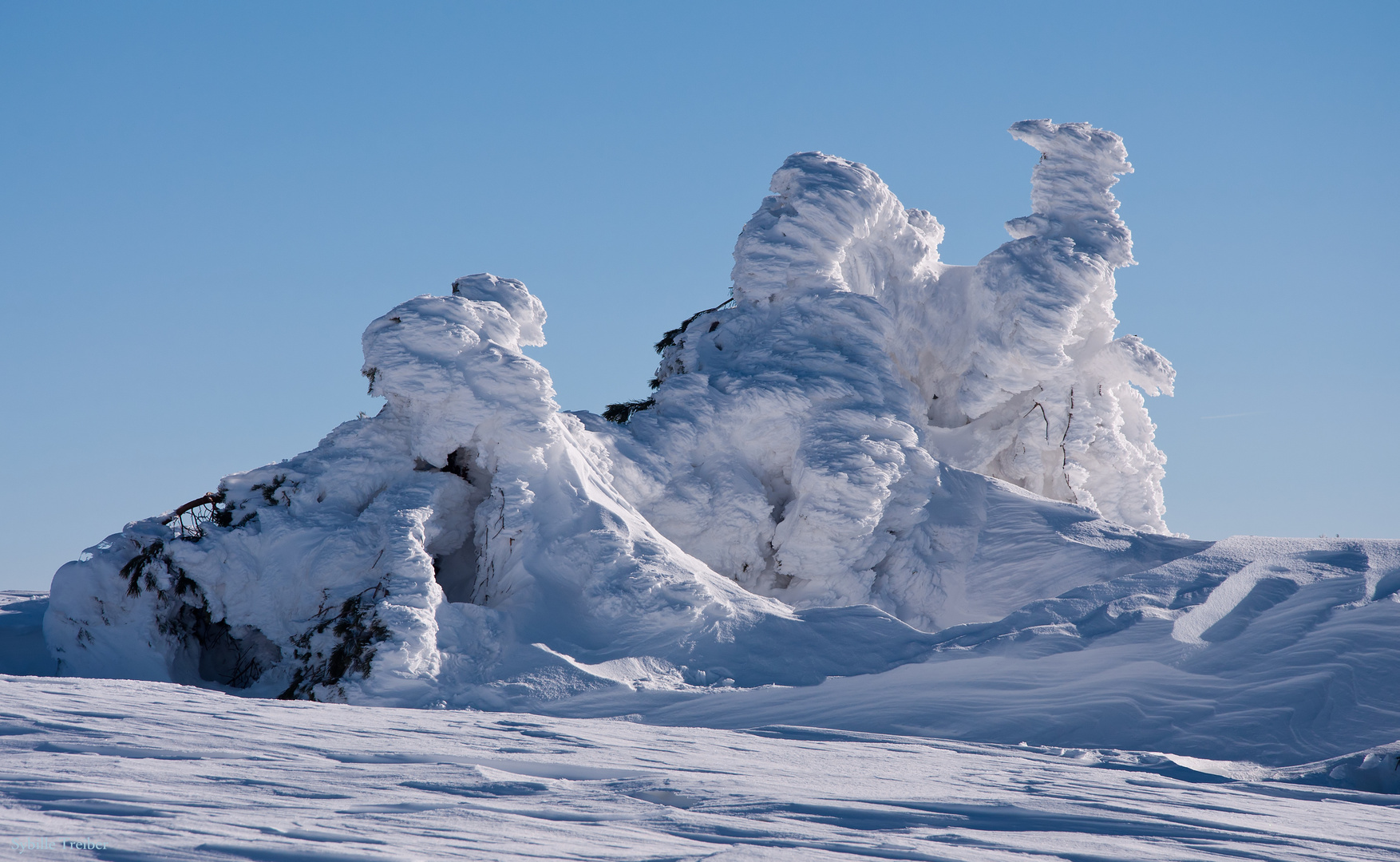 Abschied vom Winter