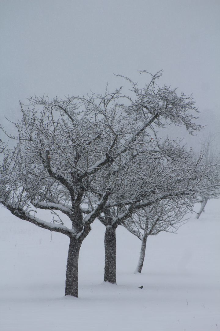 Abschied vom Winter