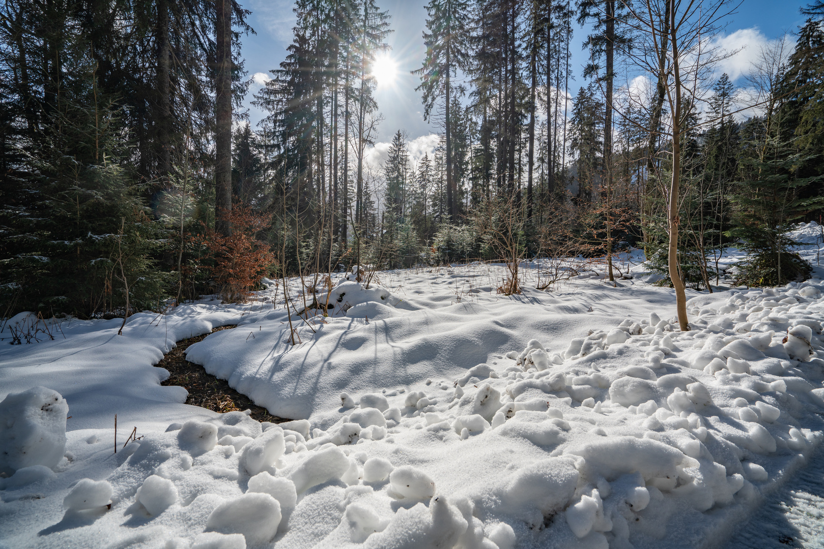 Abschied vom Winter