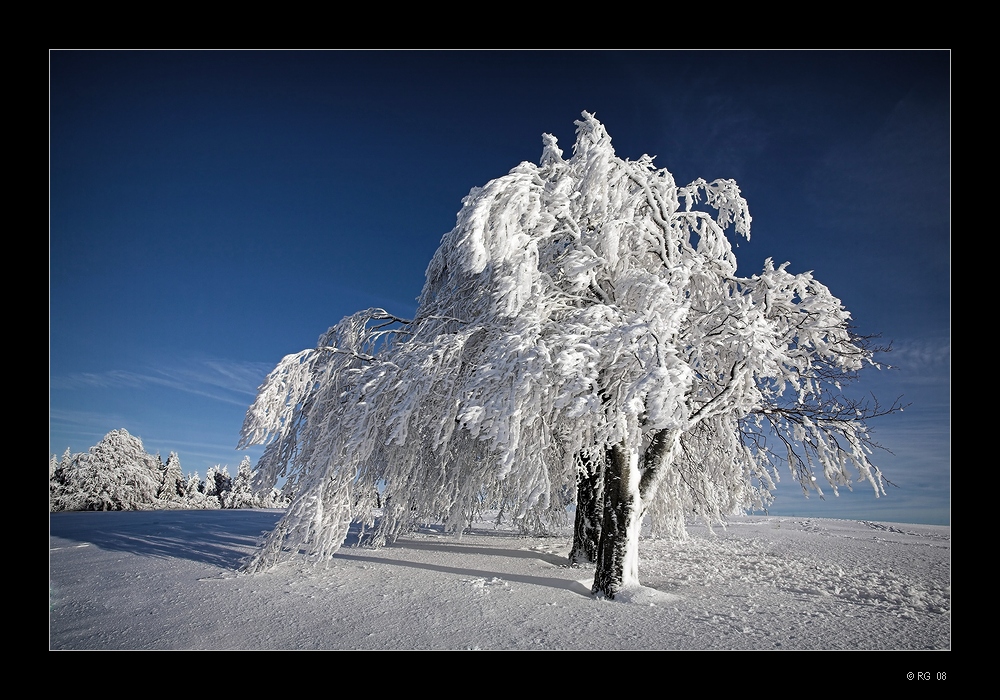 "Abschied vom Winter"