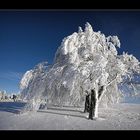 "Abschied vom Winter"